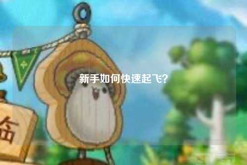 新手如何快速起飛？