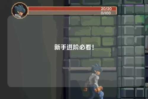 新手進階必看！