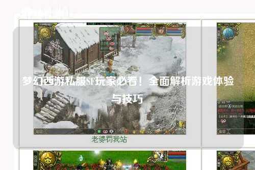 夢(mèng)幻西游私服SF玩家必看！全面解析游戲體驗(yàn)與技巧