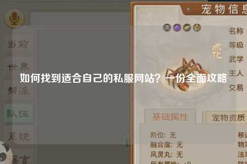 如何找到適合自己的私服網(wǎng)站？一份全面攻略