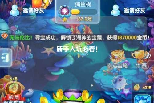 新手入坑必看！