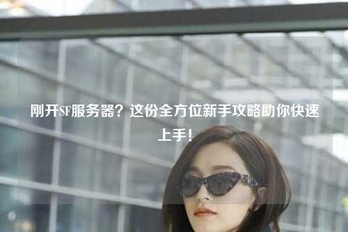 剛開SF服務(wù)器？這份全方位新手攻略助你快速上手！