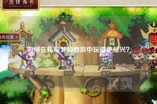 如何在私服夢(mèng)幻西游中玩得更盡興？