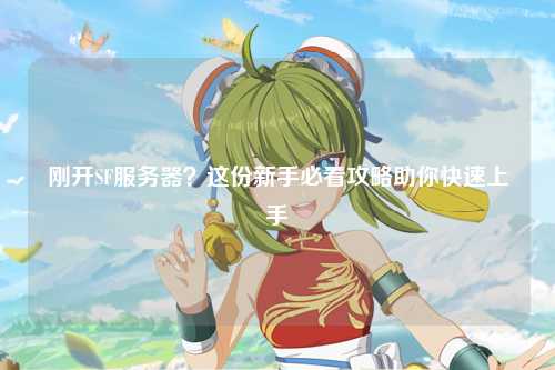 剛開SF服務(wù)器？這份新手必看攻略助你快速上手