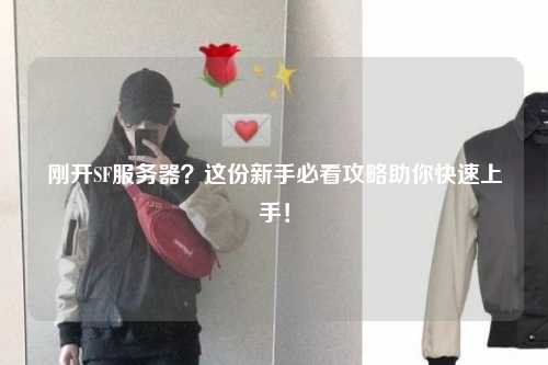 剛開SF服務(wù)器？這份新手必看攻略助你快速上手！