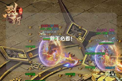 新手必看！