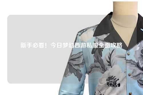 新手必看！今日夢(mèng)幻西游私服全面攻略