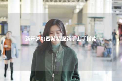 新開夢(mèng)幻西游私服新手上手指南