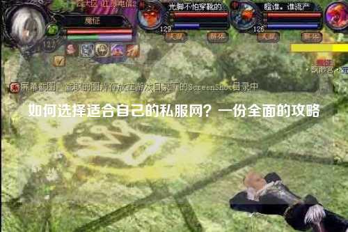 如何選擇適合自己的私服網(wǎng)？一份全面的攻略