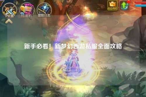 新手必看！新夢(mèng)幻西游私服全面攻略