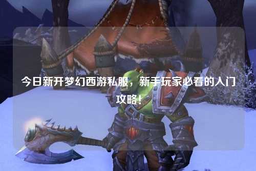 今日新開夢幻西游私服，新手玩家必看的入門攻略！